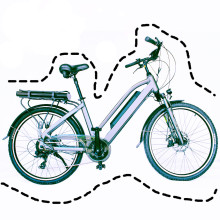 cheap 48V/500W hub motor e bike double battery city electric bicycle